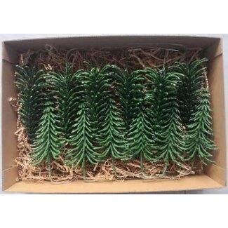 HBXD Tree Picea Wax W9H17
