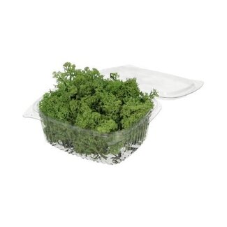 HBXD Moss Reindeer 50g