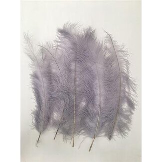 HBXD Feather Ostrich 5 Pcs L55