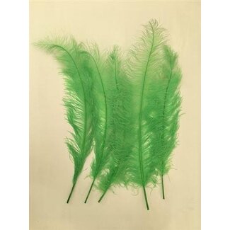 HBXD Feather Ostrich 5 Pcs L55