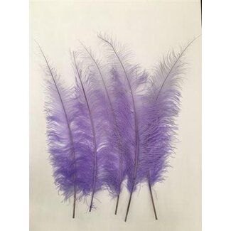 HBXD Feather Ostrich 5 Pcs L55