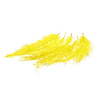 HBXD Feather Ostrich 5 Pcs L55