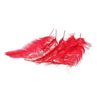 HBXD Feather Ostrich 5 Pcs L55