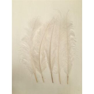 HBXD Feather Ostrich 5 Pcs L55