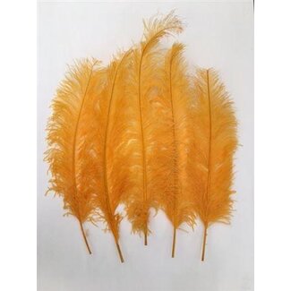HBXD Feather Ostrich 5 Pcs L55