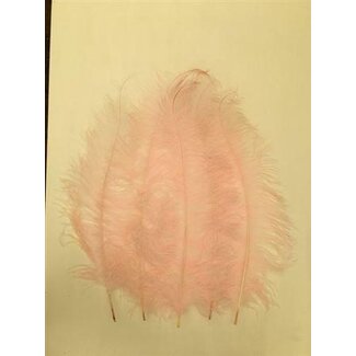HBXD Feather Ostrich 5 Pcs L55