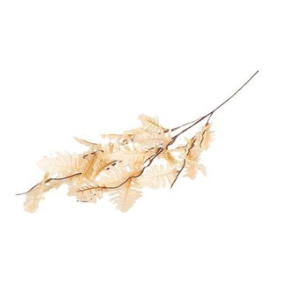 HBXD Branch Leaf Persian L105