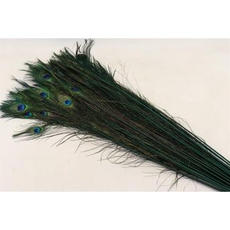HBXD Feather Peacock L90
