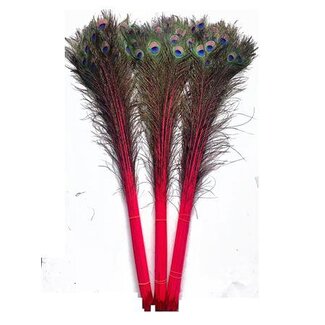 HBXD Feather Peacock L90