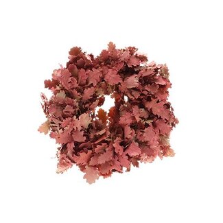 HBXD Wreath Oak Listo D35