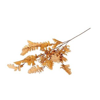 HBXD Branch Leaf Persian L105