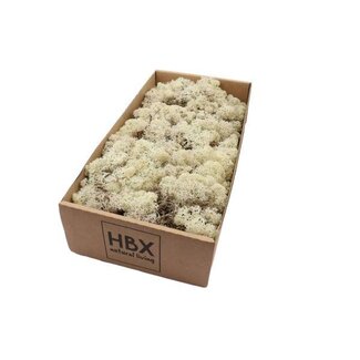 HBXD Moss Reindeer 500g