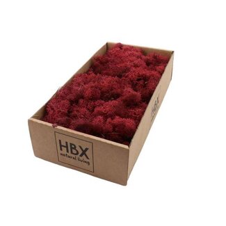 HBXD Moss Reindeer 500g