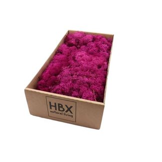 HBXD Moss Reindeer 500g