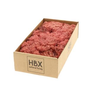 HBXD Moss Reindeer 500g