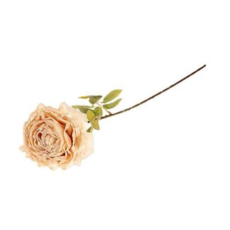 HBXD Stem Rosa Caprice L65