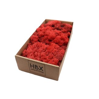 HBXD Moss Reindeer 500g