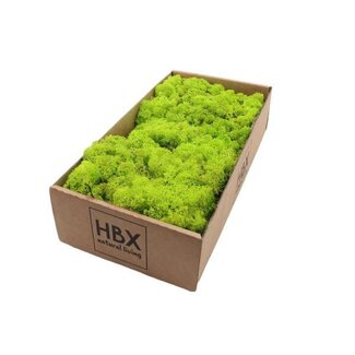 HBXD Moss Reindeer 500g