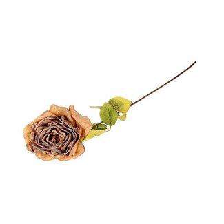 HBXD Stem Rosa Caprice L65