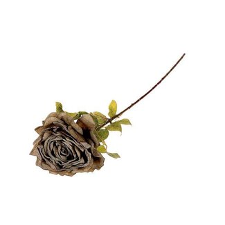 HBXD Stem Rosa Caprice L65
