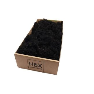 HBXD Moss Reindeer 500g