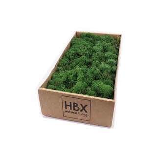 HBXD Moss Reindeer 500g