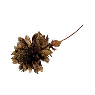 HBXD Stem Dahlia Grande L55