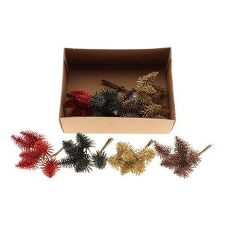 HBXD Bunch Tree Nobilis Bnd 6pcs