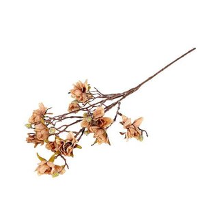 HBXD Branch Magnolia Grandi L88