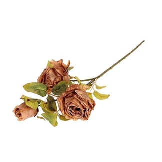 HBXD Branch Rosa Horta L66