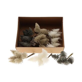 HBXD Bunch Tree Nobilis Bnd 6pcs