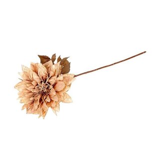 HBXD Stem Dahlia Grande L55
