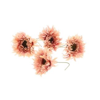 HBXD Flower Daisy 4pcs