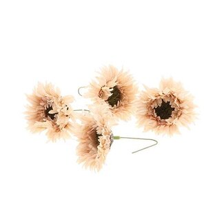 HBXD Flower Daisy 4pcs