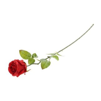 HBXD Stem Rosa Promise L66
