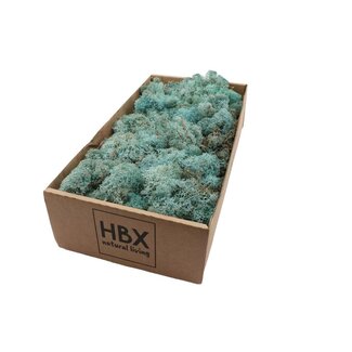 HBXD Moss Reindeer 500g