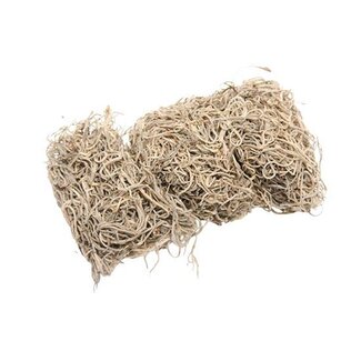 HBXD Moss Tillandsia 80g