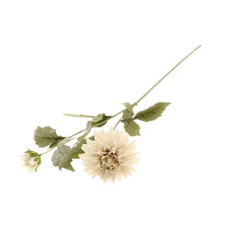 HBXD Stem Dahlia Flora L65