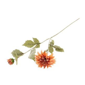 HBXD Stem Dahlia Flora L65