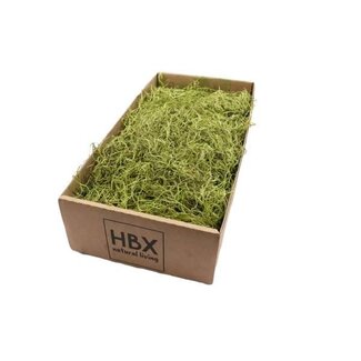 HBXD Moss Tillandsia Pres. 350gr