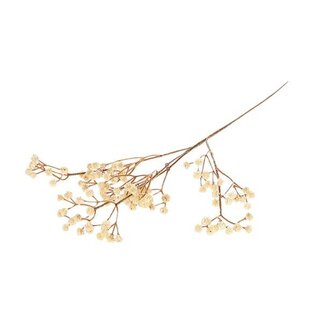 HBXD Branch Gypsophila L65