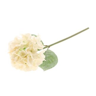 HBXD Stem Hydrangea Adorn L60