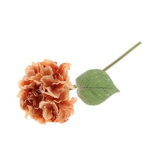 HBXD Stem Hydrangea Adorn L60