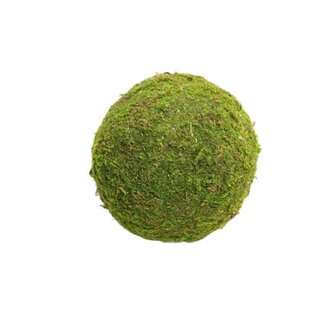 HBXD Ball Asia Moss D20