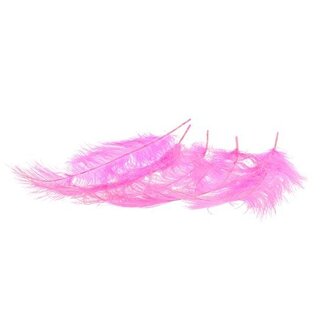 HBXD Feather Ostrich 5pcs L55