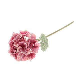 HBXD Stem Hydrangea Adorn L60
