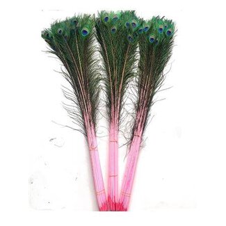 HBXD Feather Peacock L90