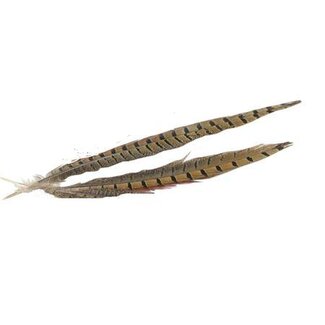 HBXD Feather Pheasant 2 Pcs L30