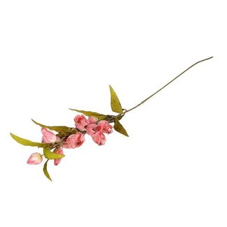 HBXD Stem Bellflower L105