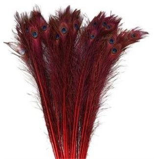 HBXD Feather Peacock L90/100 10pc/Bnd